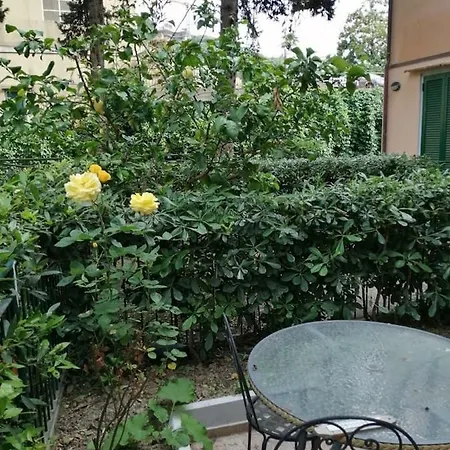 Apartment Viky House *