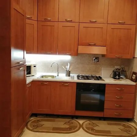 Apartment Viky House