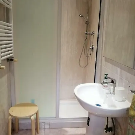Apartment Viky House *